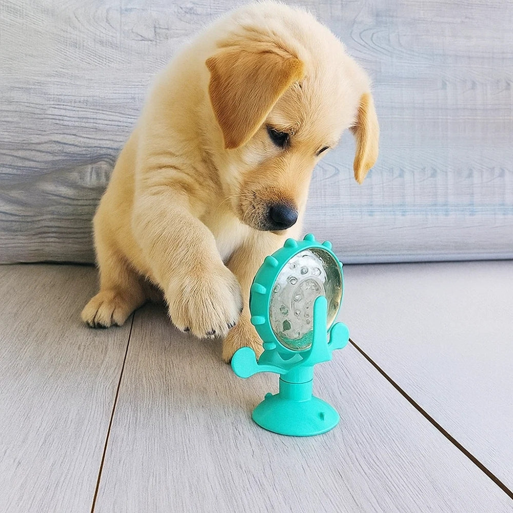 Giocattolo interattivo per Cani