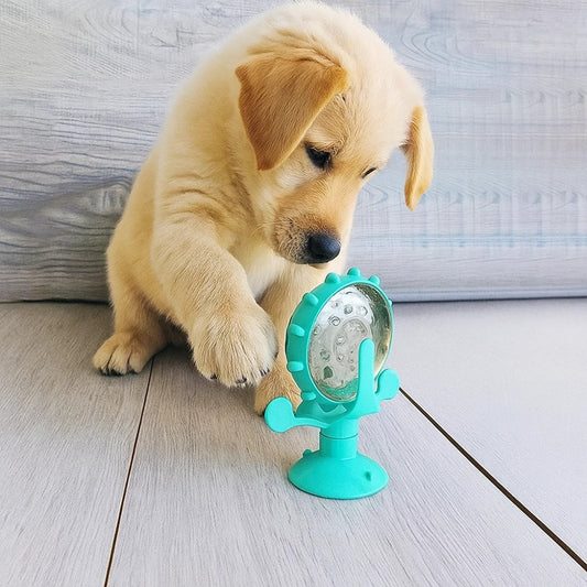 Giocattolo interattivo per Cani