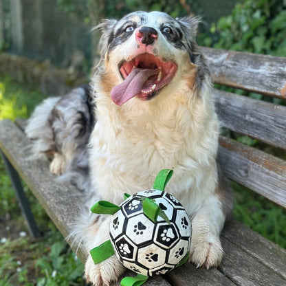 Palla per Cani Ultra Resistente