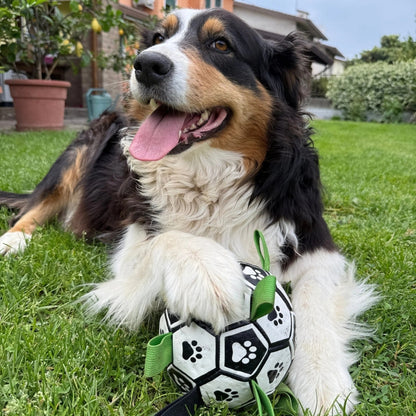 Palla per Cani Ultra Resistente