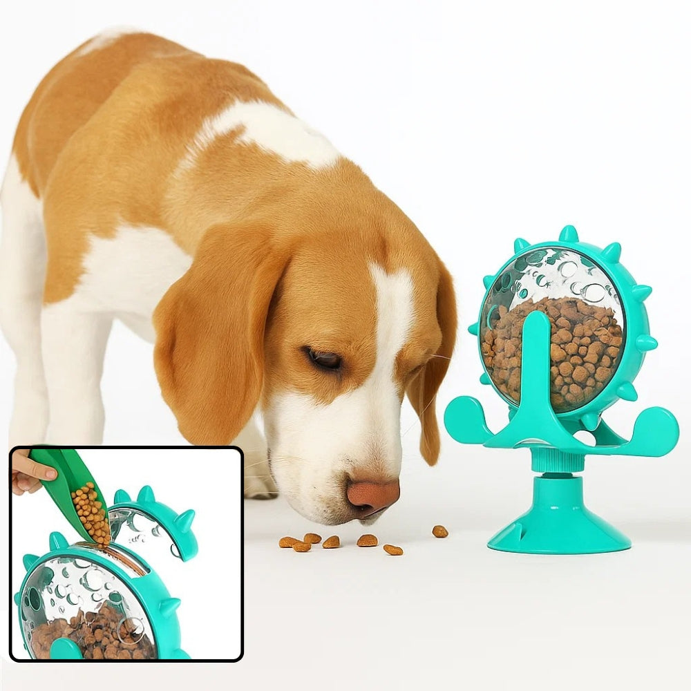 Giocattolo interattivo per Cani