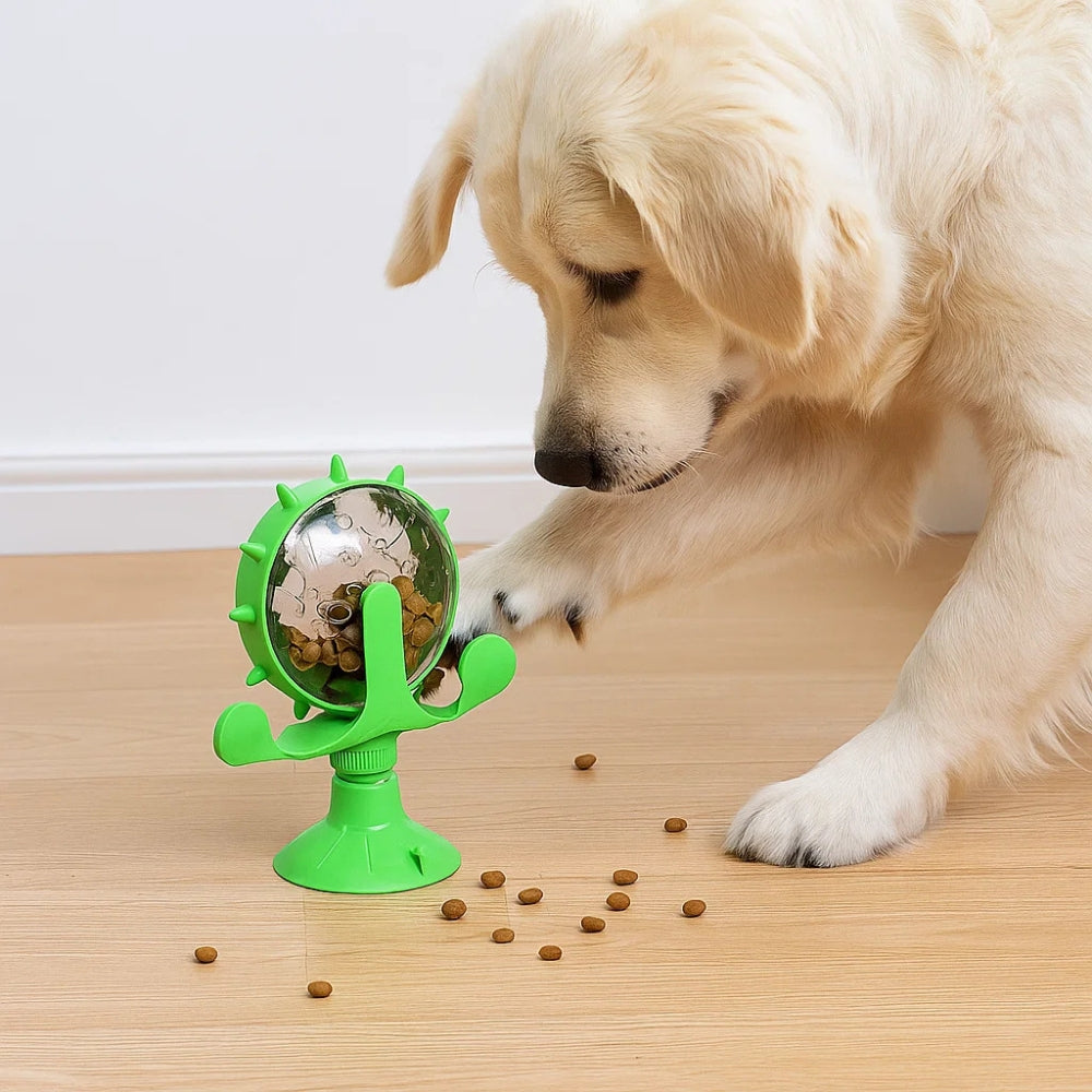 Giocattolo interattivo per Cani