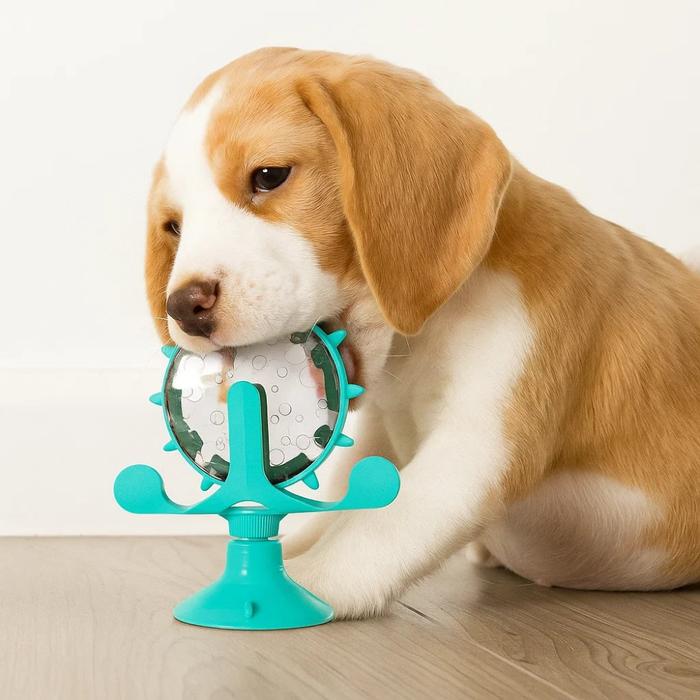 Giocattolo interattivo per Cani