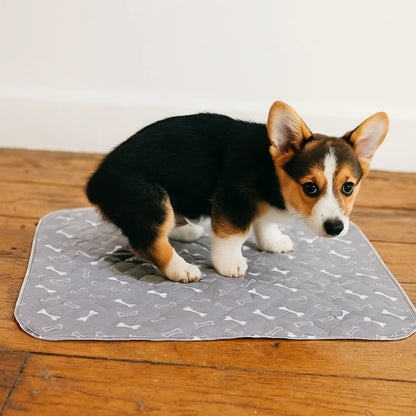 Tappetino Impermeabile per Addestramento Cani